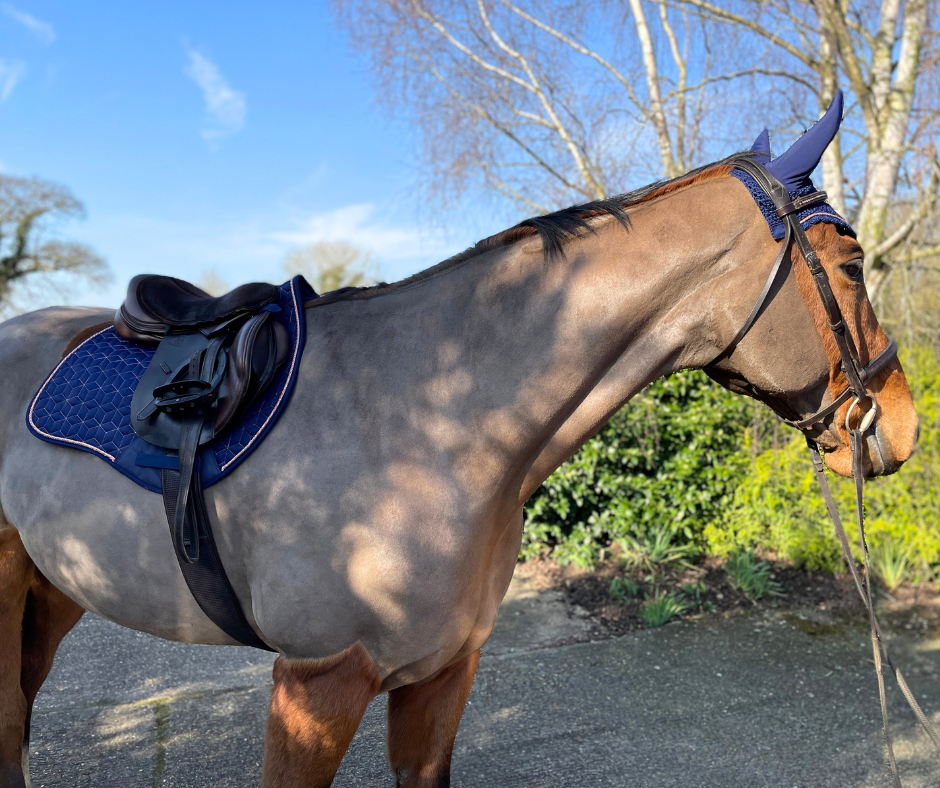 Navy and Rose Gold Geo Saddle Pad GP/Jump