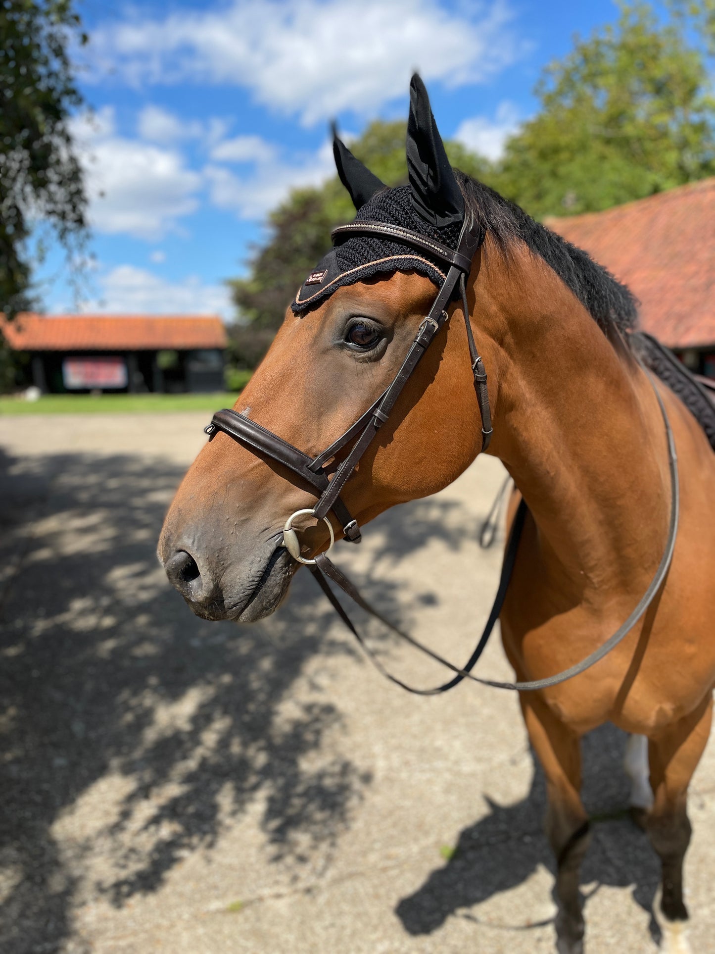 Black and Rose Gold Geo Saddle Pad GP/Jump