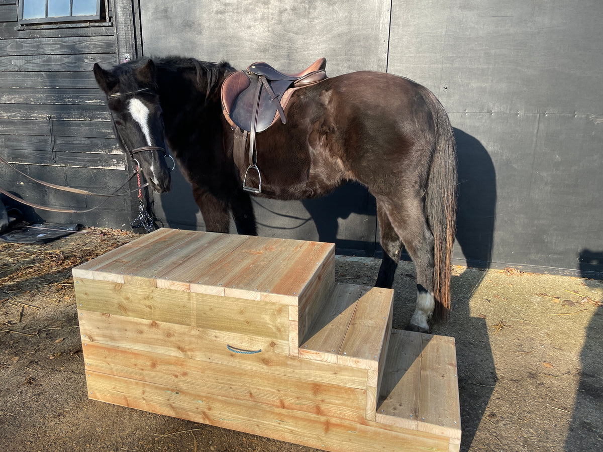 3 Step Loading Block Mounting Block – Equine Splendour